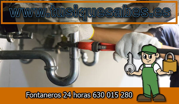 Fontaneros Alginet