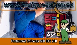 Fontaneros Campanar