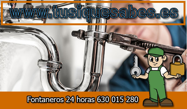 Fontaneros La Latina Madrid