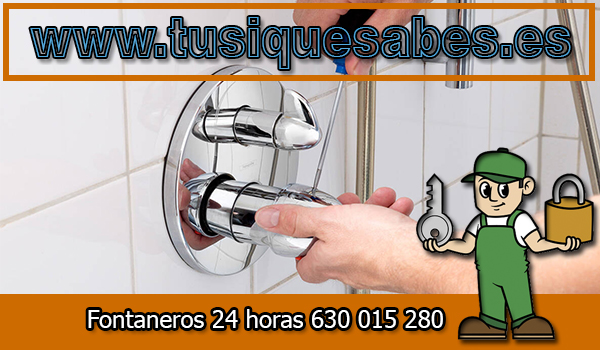 Fontaneros Roquetes